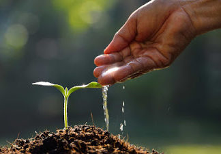 O PARADIGMA DA OTIMIZAÇÃO