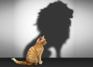 10 PECULIARIDADES DOS HOMENS AUTOCONFIANTES