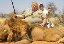 A VIRILIDADE TÓXICA