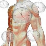 COMO FUNCIONA SEU RELÓGIO BIOLÓGICO?