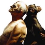 O ANIMAL HUMANO