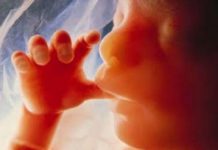 NATUREZA, HOMOSSEXUALISMO E ABORTO