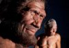 LIÇÕES NEANDERTAIS PARA O FUTURO