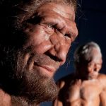 LIÇÕES NEANDERTAIS PARA O FUTURO