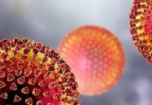 CORONAVIRUS, A PANDEMIA DO PÂNICO