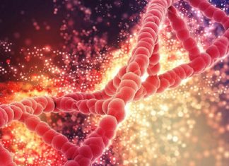 A TÁBULA RASA E A HEREDITARIEDADE DA INTELIGÊNCIA