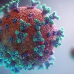 ENTENDENDO OS TESTES E A IMUNIDADE PARA O COVID19