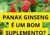 PANAX GINSENG É UM BOM SUPLEMENTO?